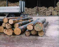 wood2.jpg (16434 bytes)