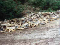wood3.jpg (20199 bytes)